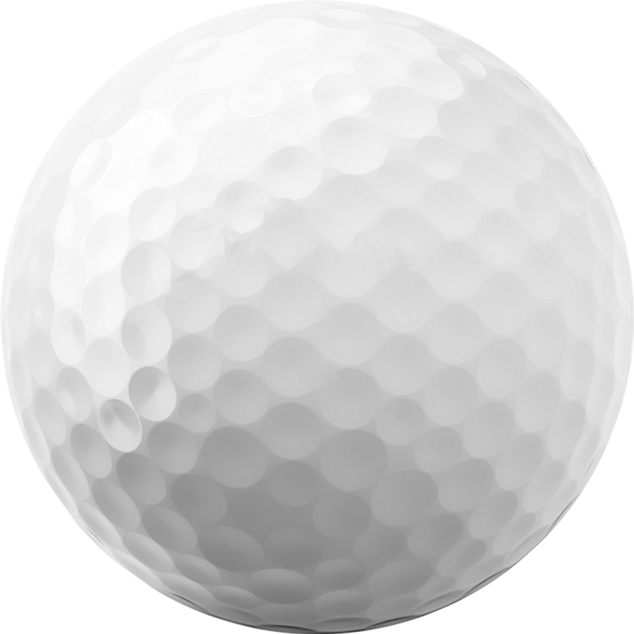 Personalized Pro V1x Golf Balls|Titleist Logo Golf Balls–Fast