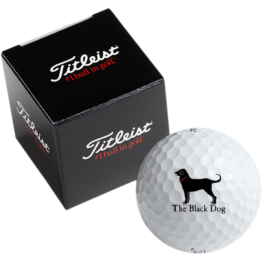 T1BBPV1-FD - Titleist 1-Golf Ball Box Pro V1/Prov1X – Gold Bond Inc.